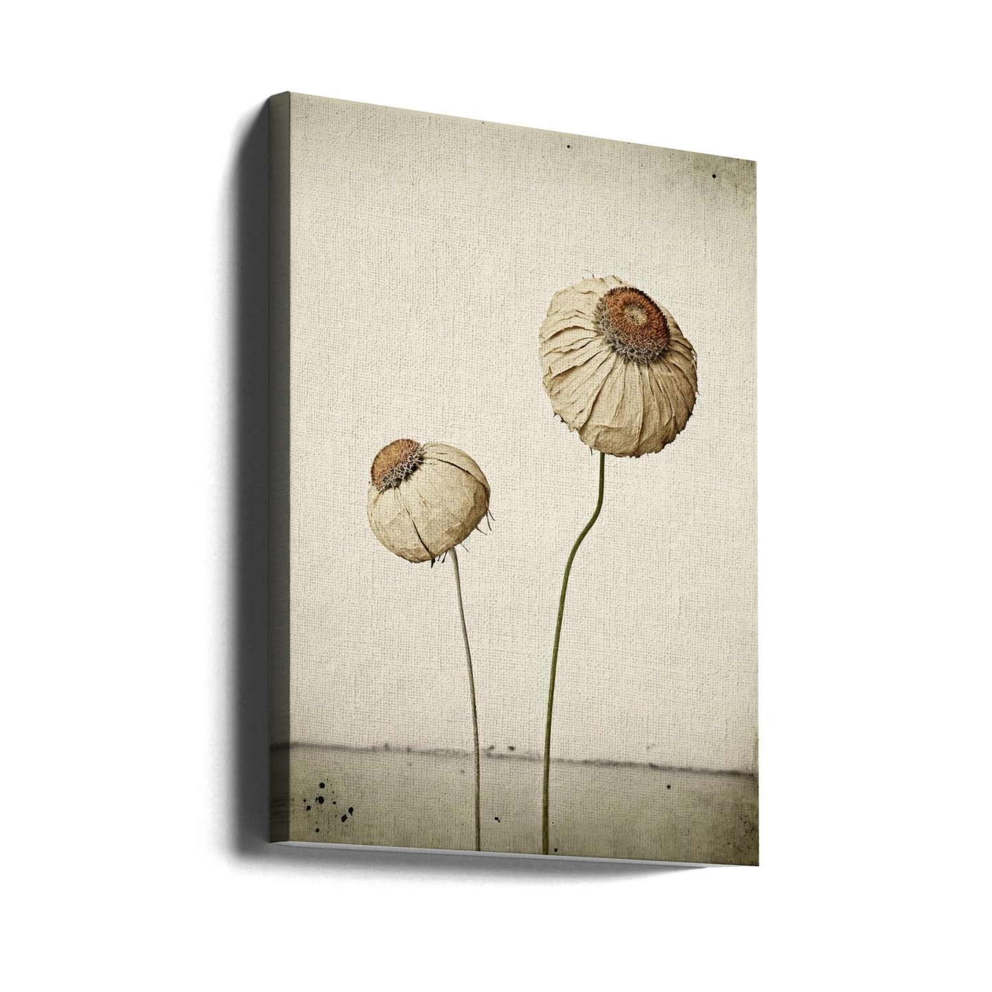 Fleur éternelle | Tableaux sur Toile