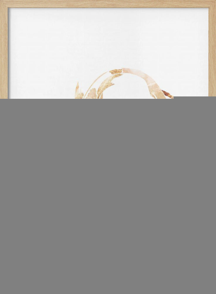 Gold White Japan Koi Fish | Poster
