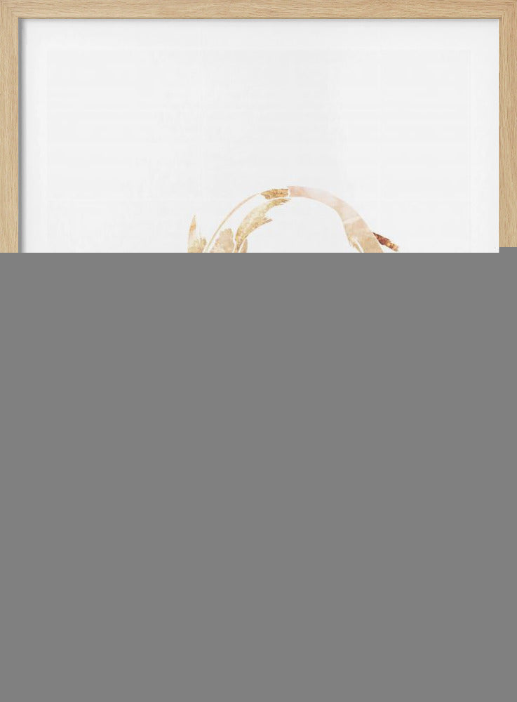 Gold White Japan Koi Fish | Poster