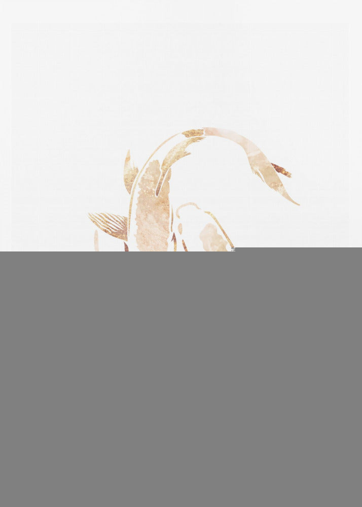 Gold White Japan Koi Fish | Poster