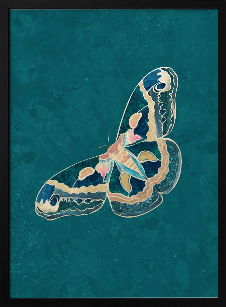 Turquoise Gold Moth Butterfly | Poster