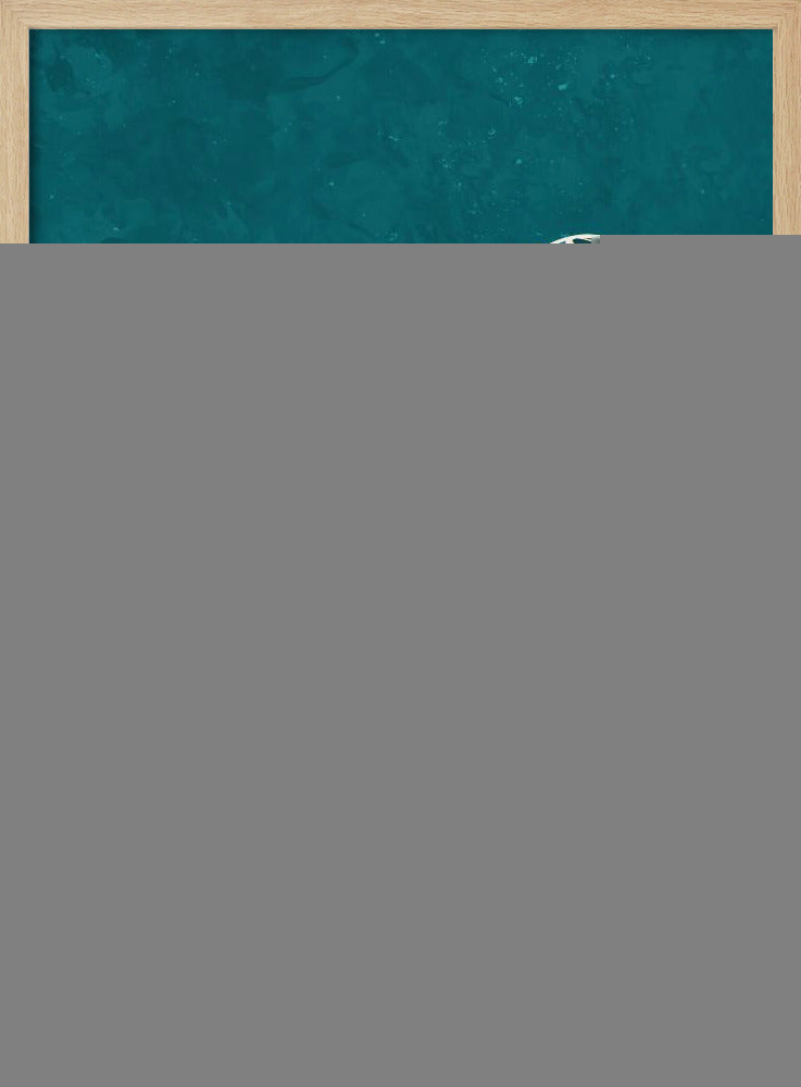 Turquoise Gold Moth Butterfly | Poster