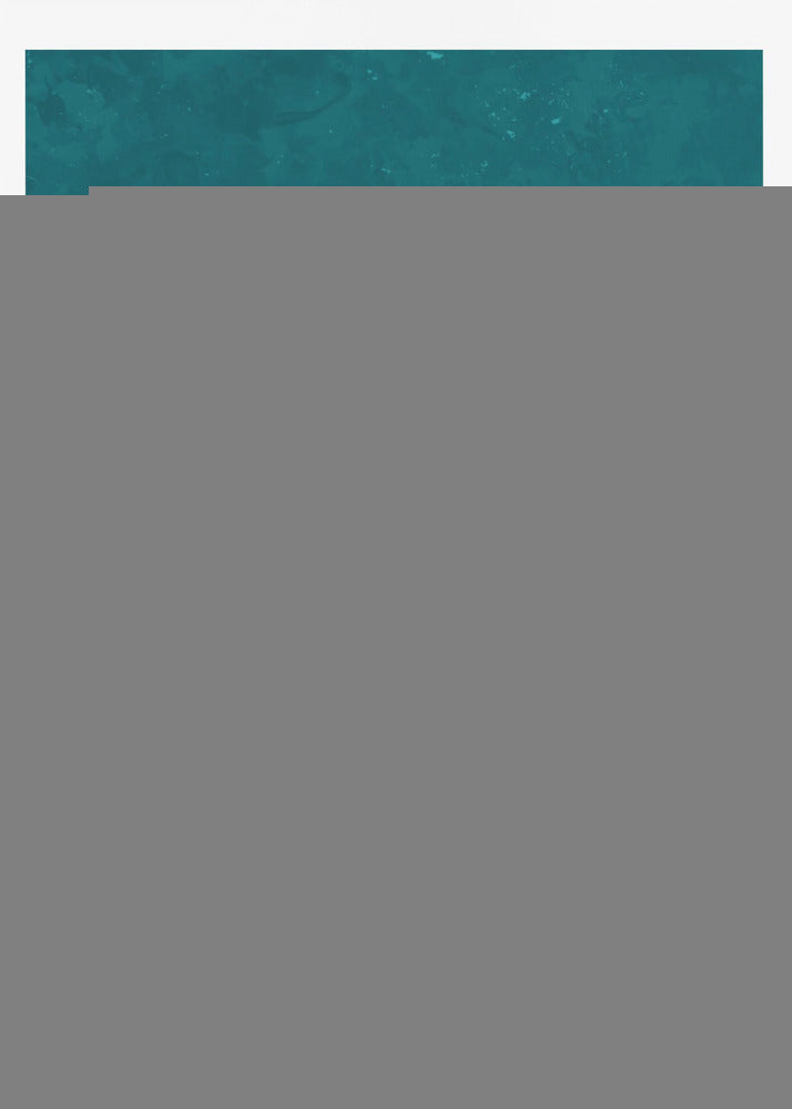 Turquoise Gold Moth Butterfly | Poster