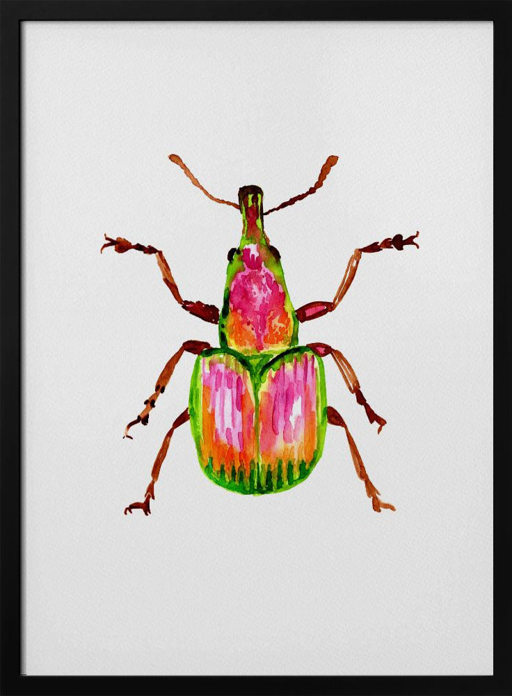 Apricot weevil or Epirhynchites auratus | Poster