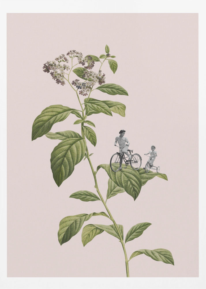 Botanisches Radfahren | Poster