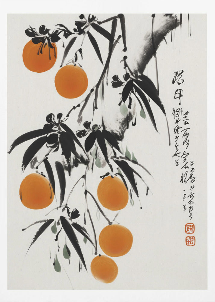 Japanilaiset appelsiinit | Julisteet - Taidevedokset