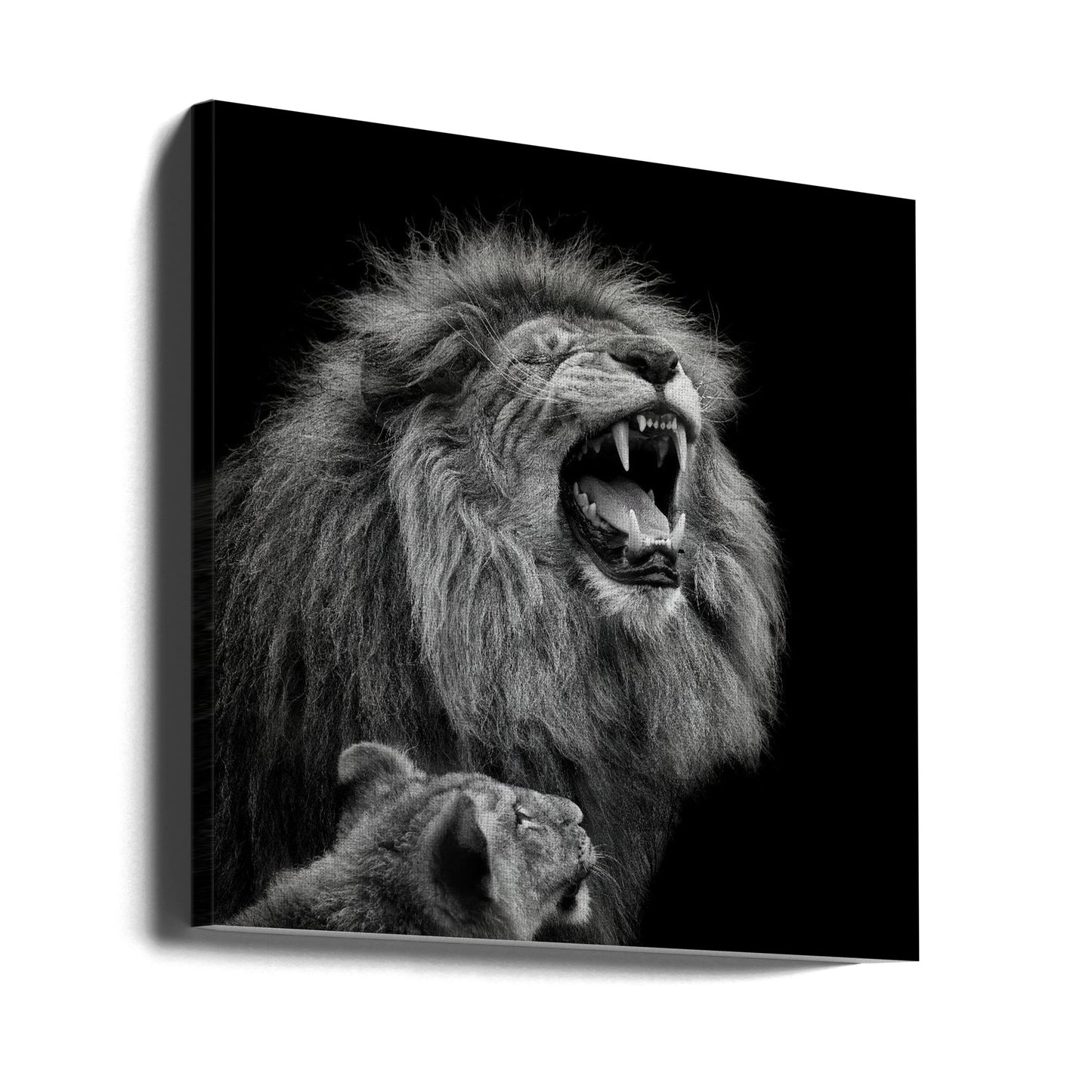 Hör zu, Baby | Leinwand-Bilder