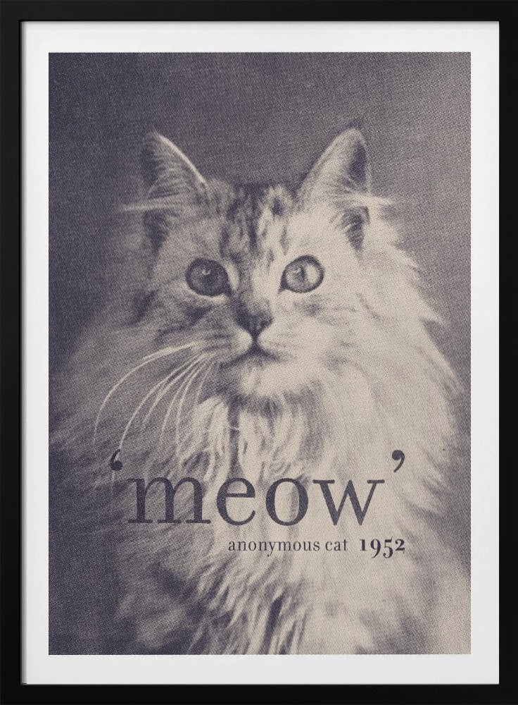 Berühmtes Zitat Katze | Poster