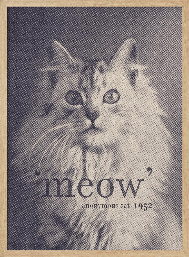 Berühmtes Zitat Katze | Poster