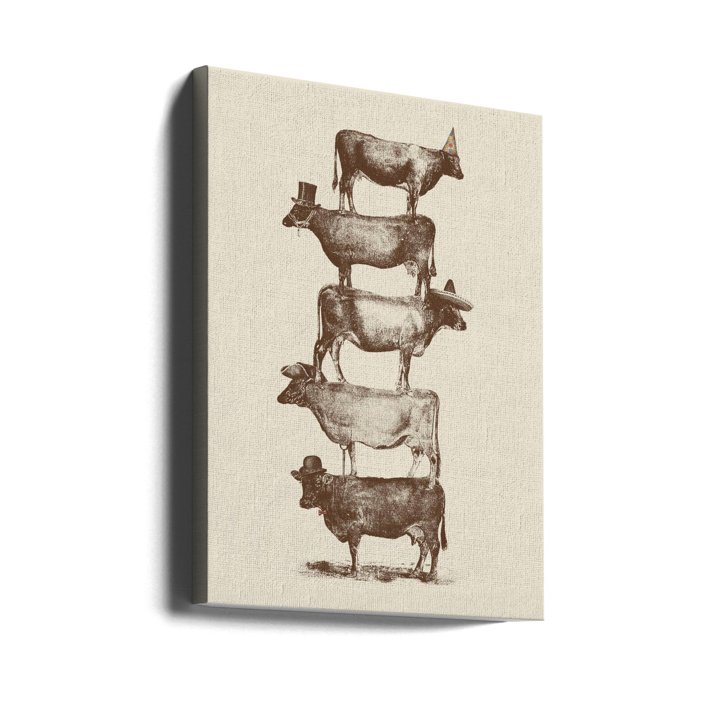 Ko Ko Nötter | Canvas