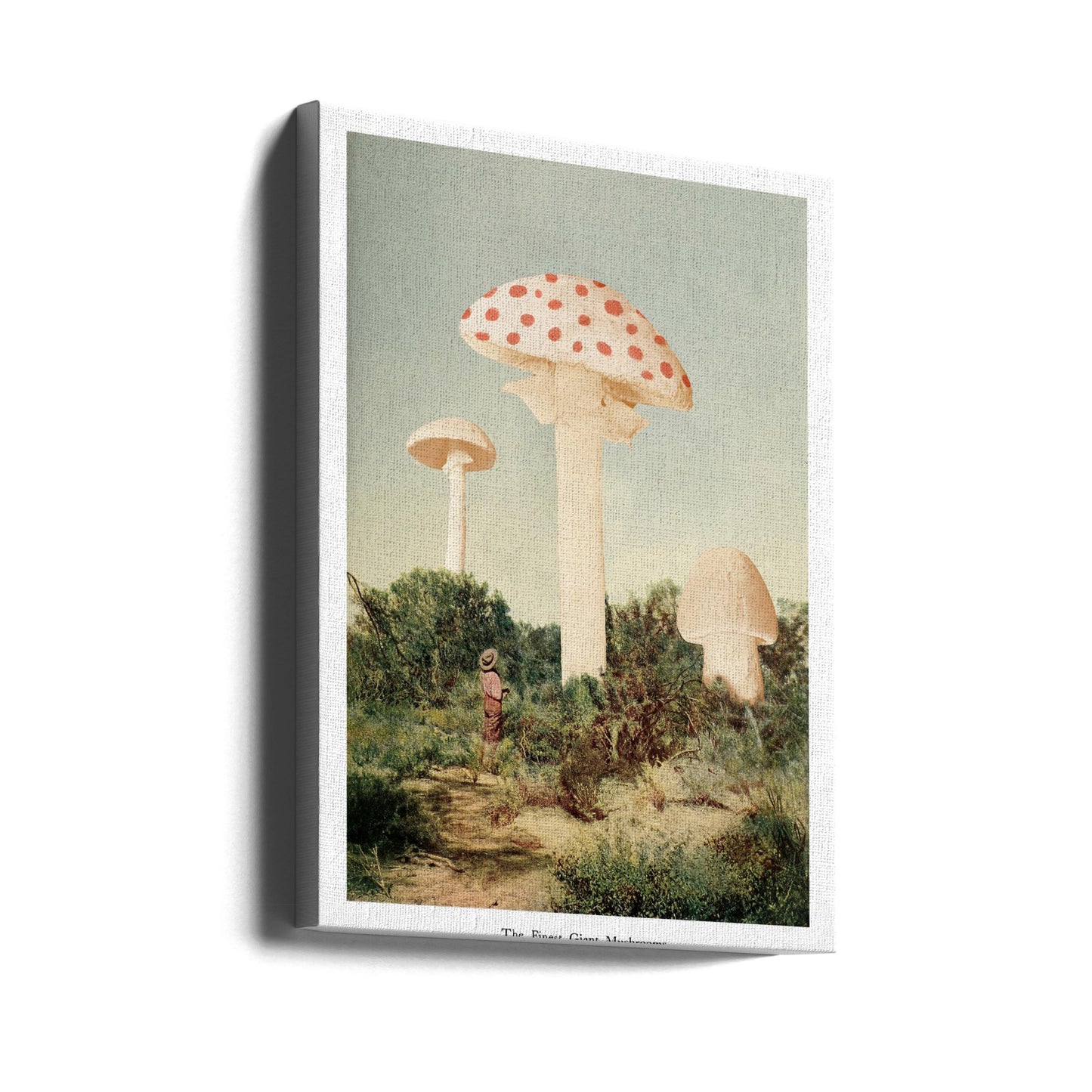 The Finest Giant Mushroom | Canvas