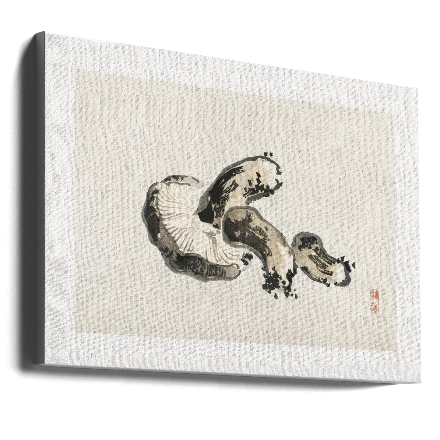 Shitake Mushroom | Canvas