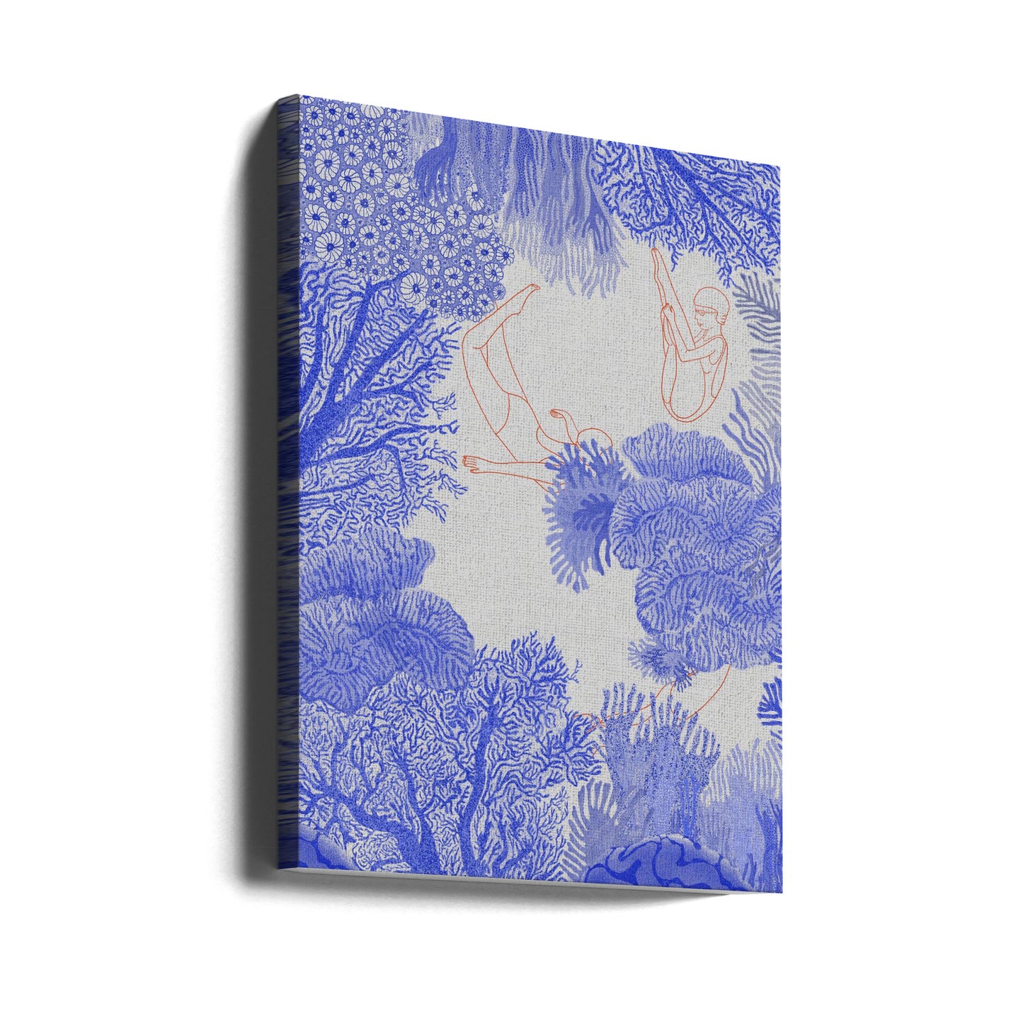 Unterwasser | Leinwand-Bilder