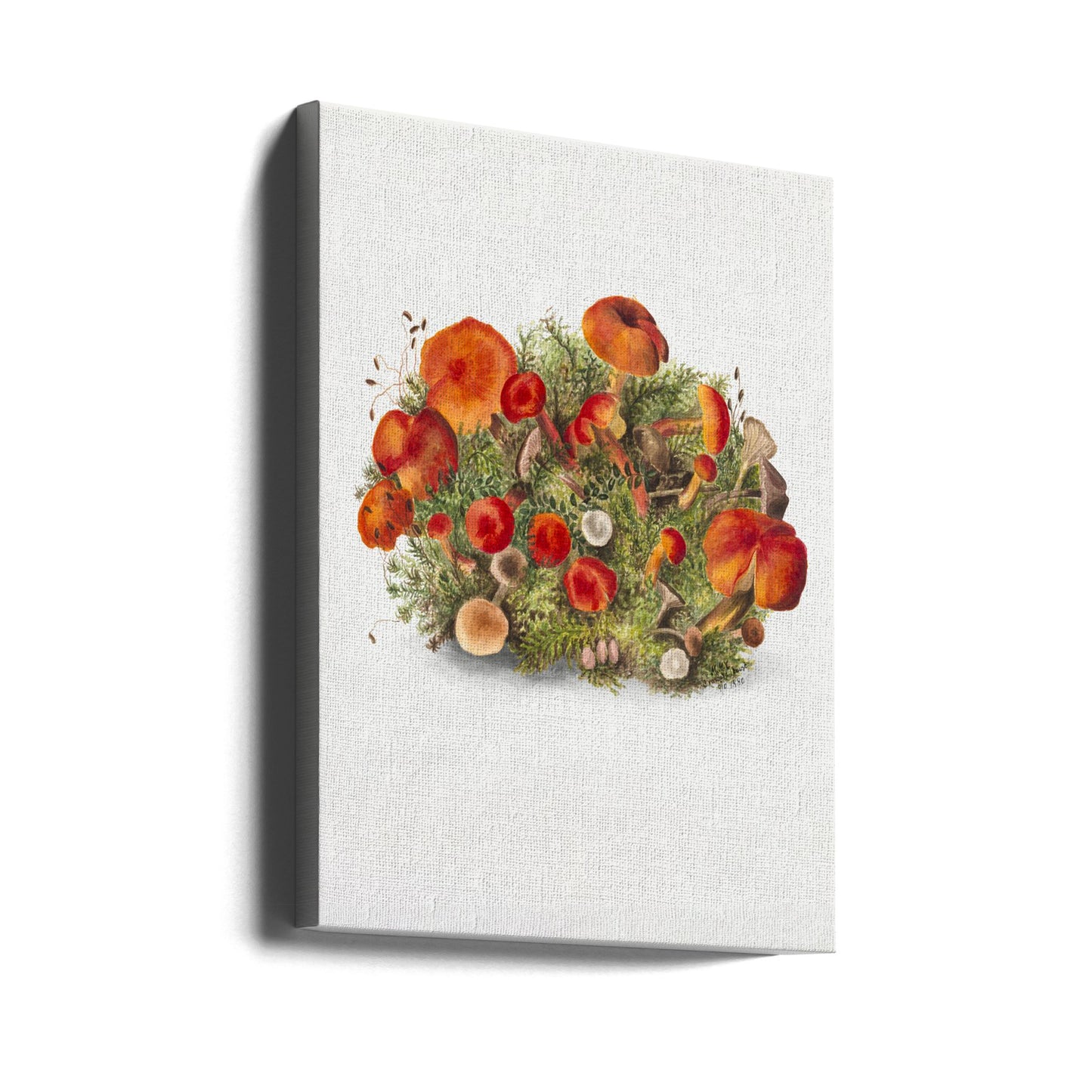 Study of Mushrooms (1880) Portrait Mode | Canvas
