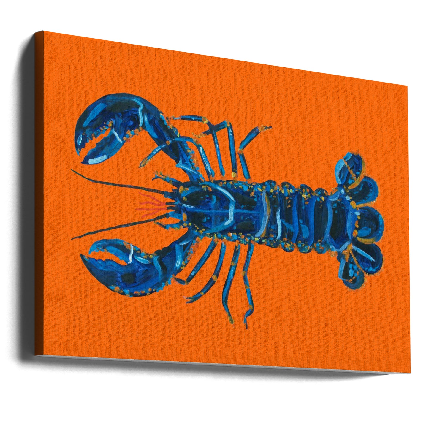 Lobster On Orange | Canvas