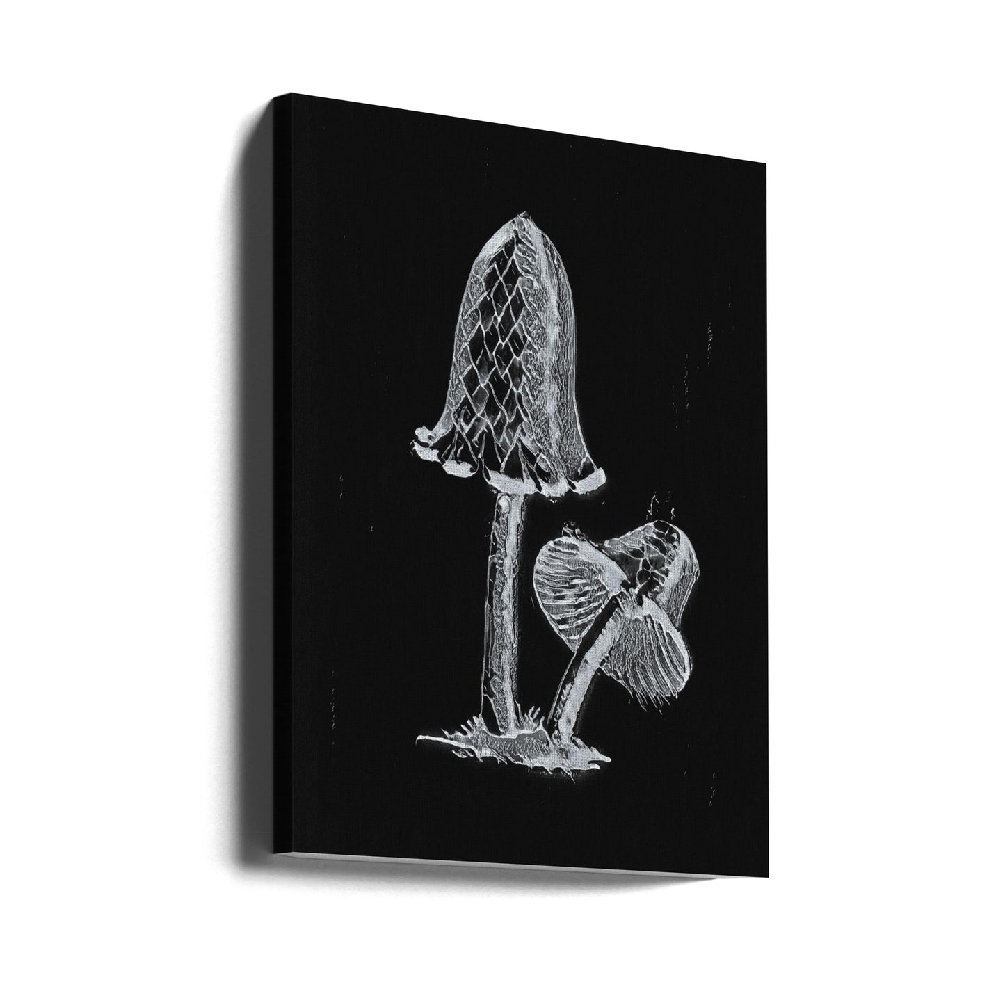 Vintage Inky Cap Edible Mushroom Dark BW | Canvas
