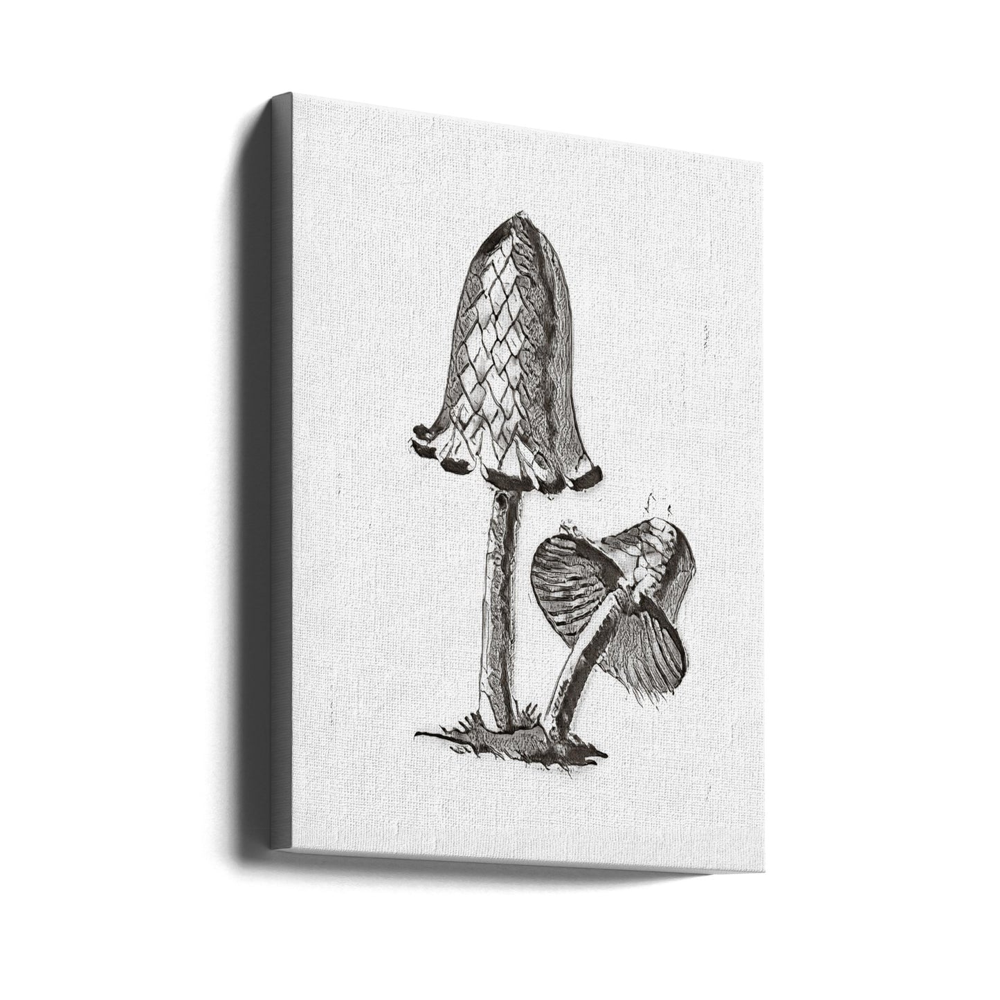 Vintage Inky Cap Edible Mushroom BW Bright | Canvas
