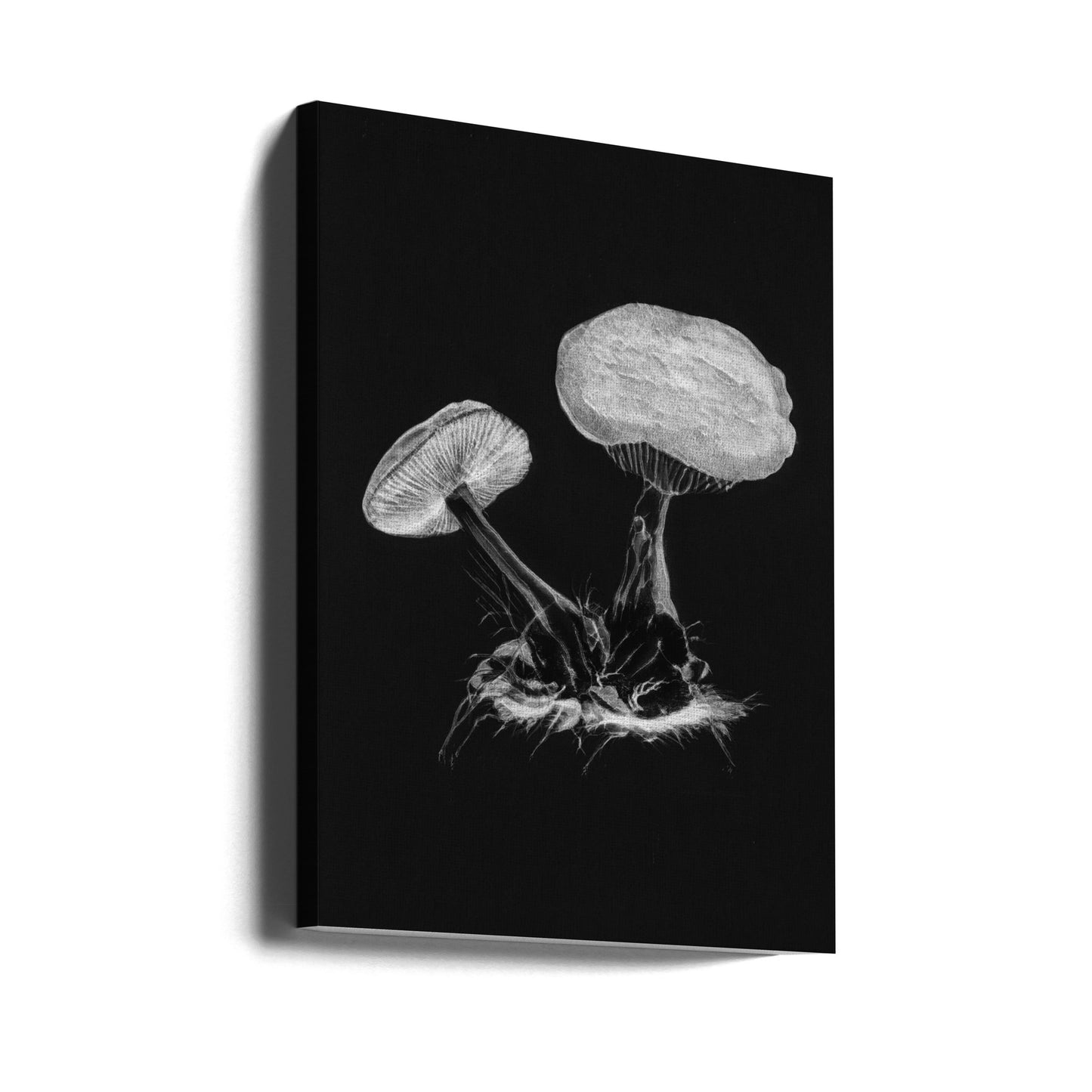 Vintage Violet Webcap Mushroom Dark BW | Canvas