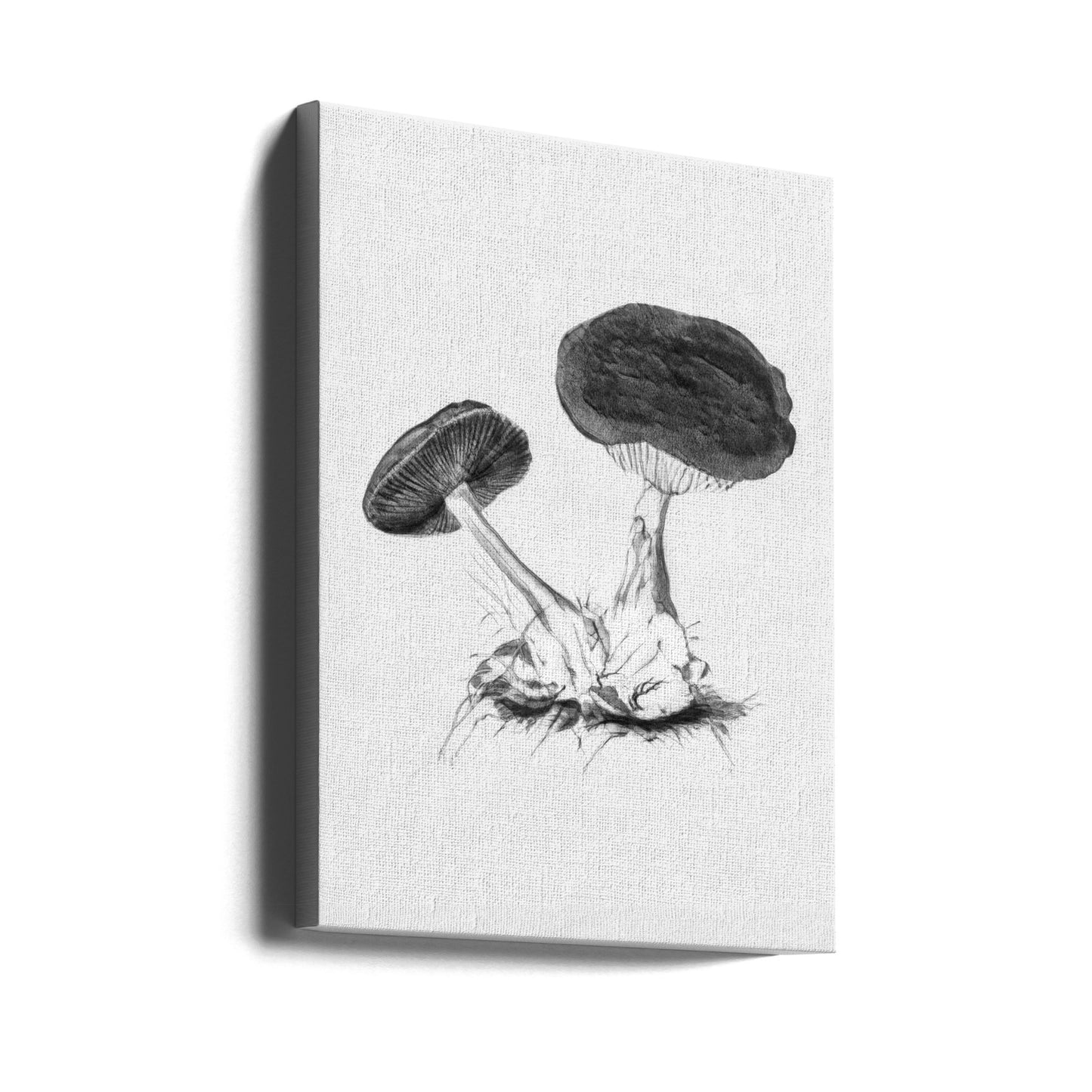 Vintage Violet Webcap Mushroom Bright BW | Canvas