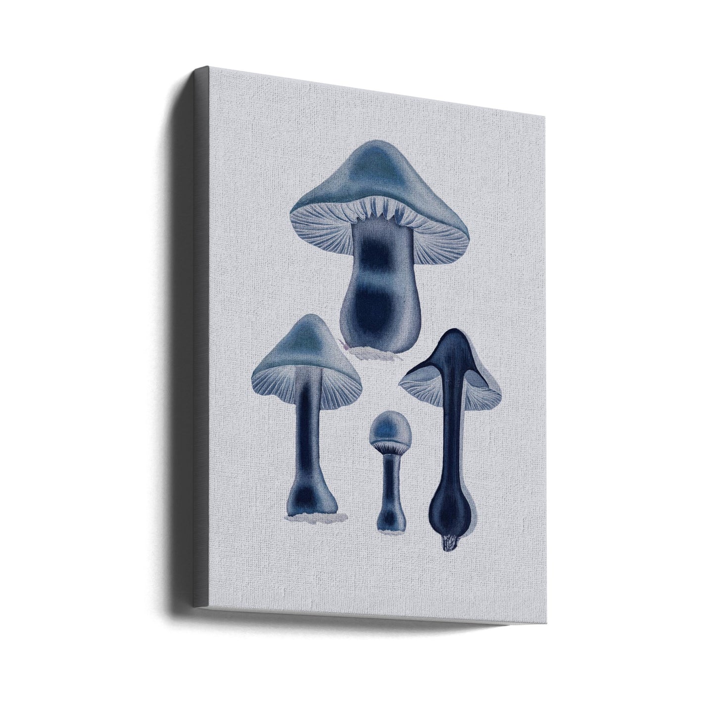 Agaricus Bulbosus - Blue | Canvas
