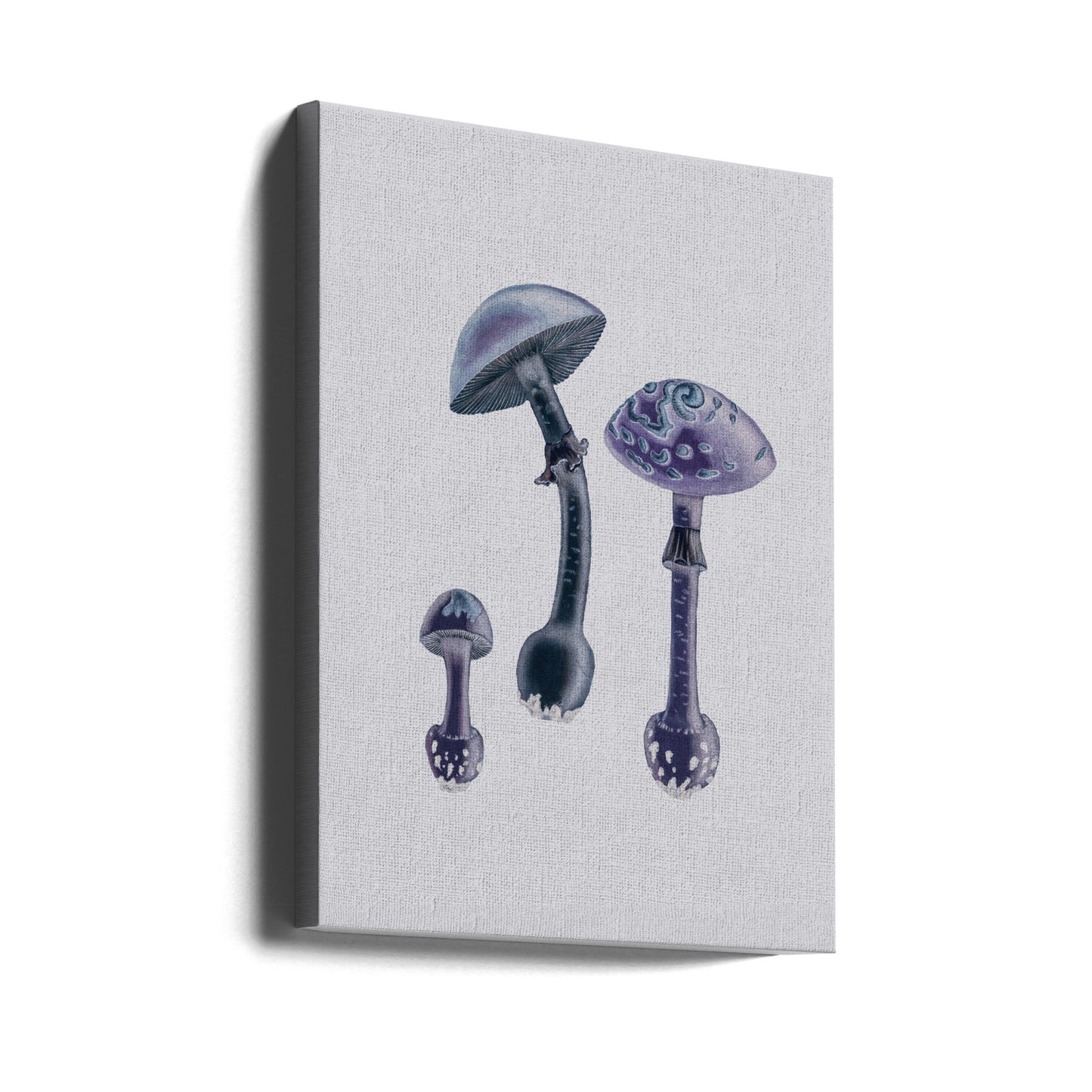 Amanita Muscaria White Backgound Purple | Canvas