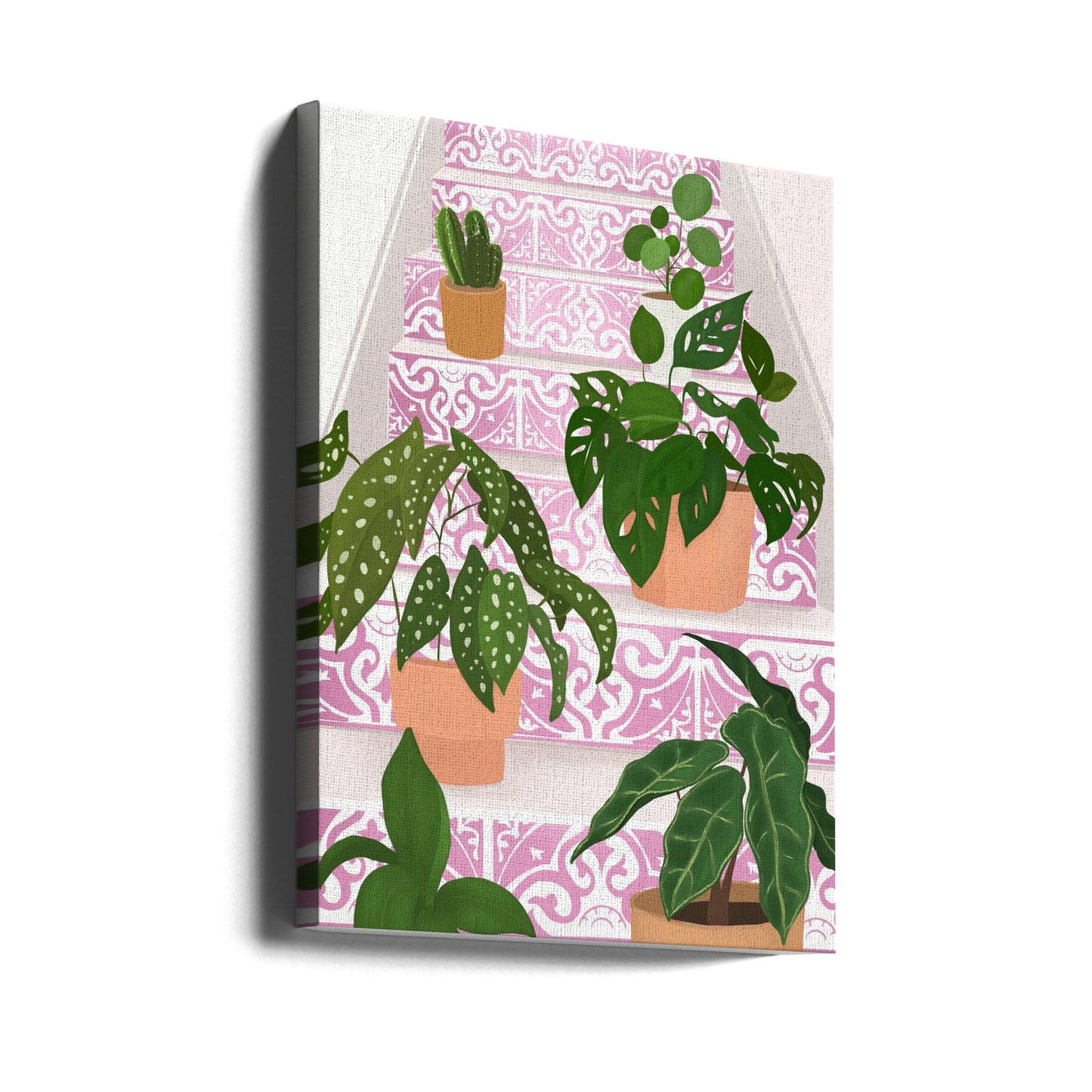 Plants | Canvas