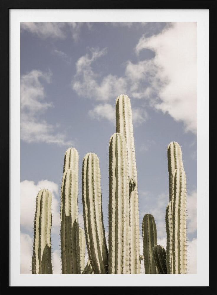 Wüstenkathedrale Nr. 2 | Poster