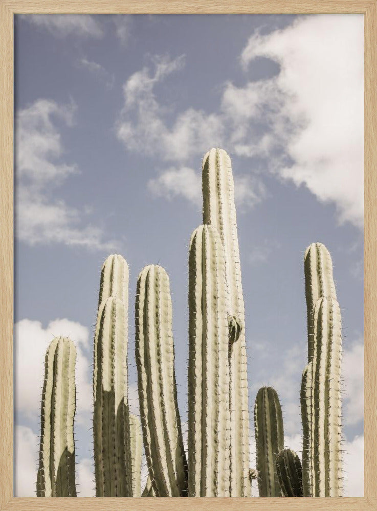 Wüstenkathedrale Nr. 2 | Poster