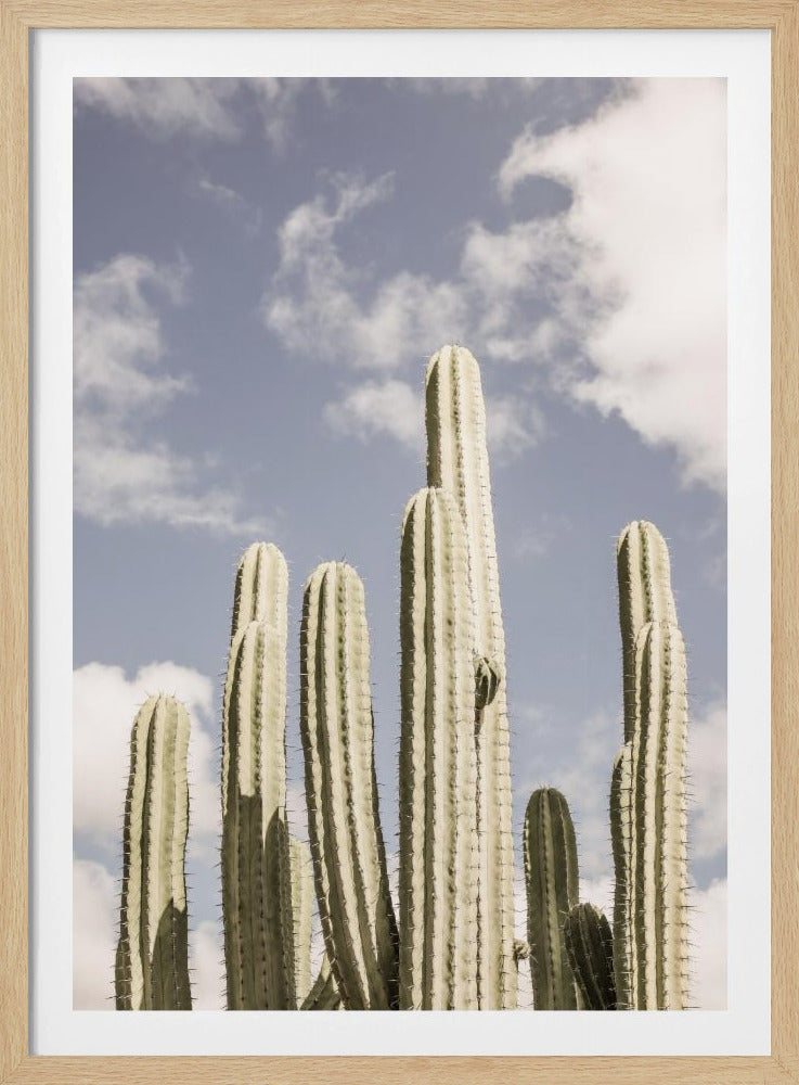 Wüstenkathedrale Nr. 2 | Poster