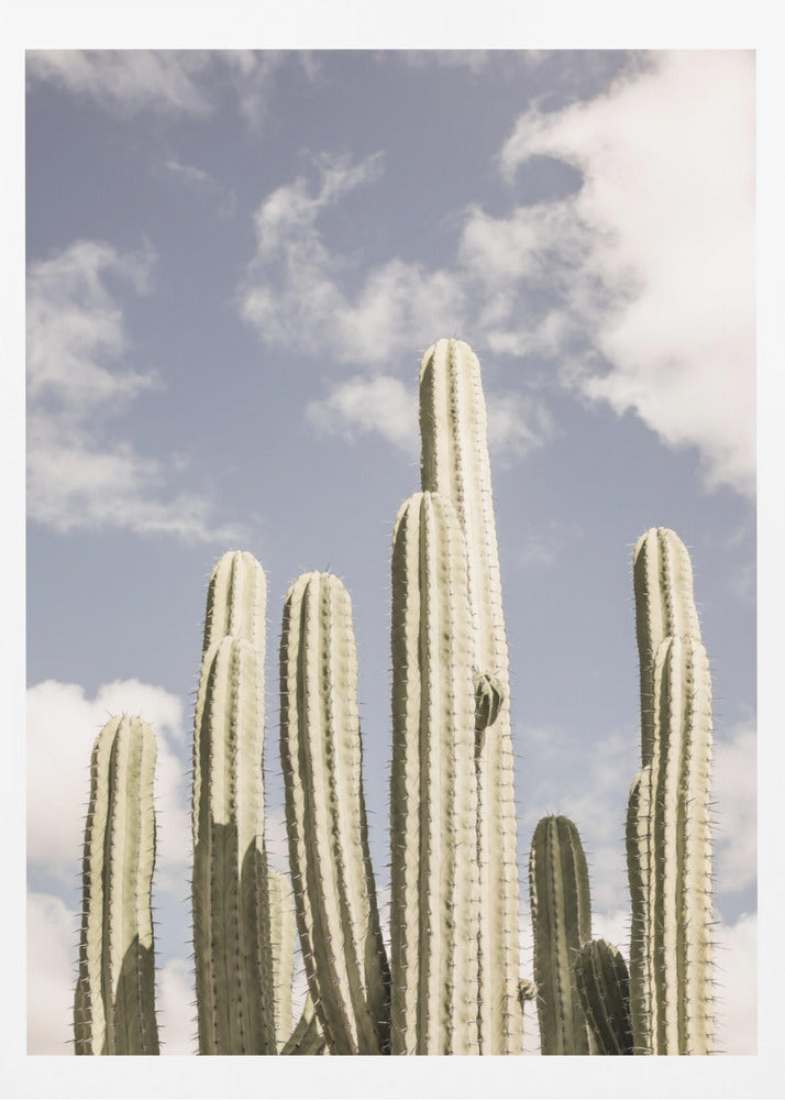 Wüstenkathedrale Nr. 2 | Poster