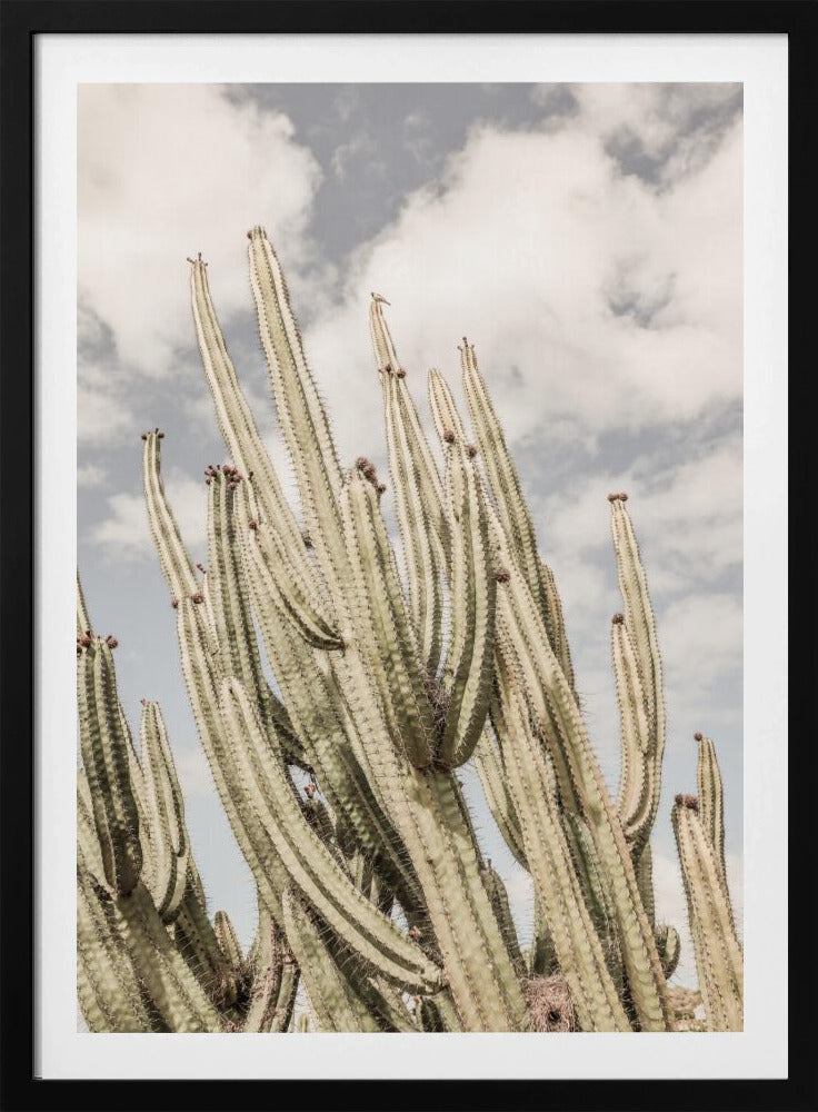 Wüstenkathedrale | Poster