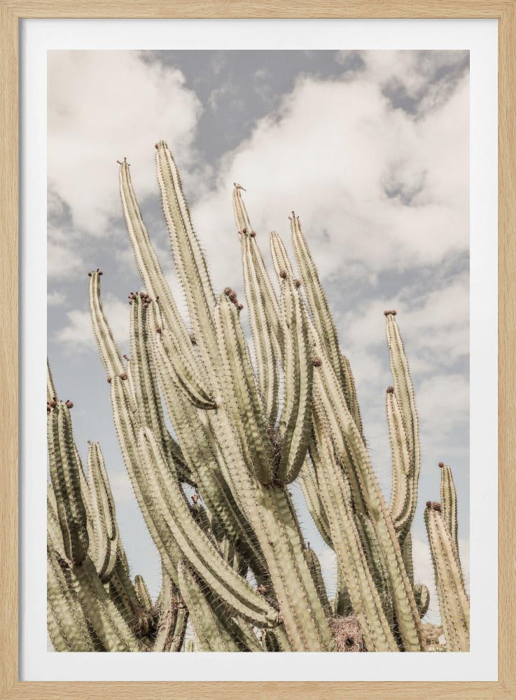 Wüstenkathedrale | Poster