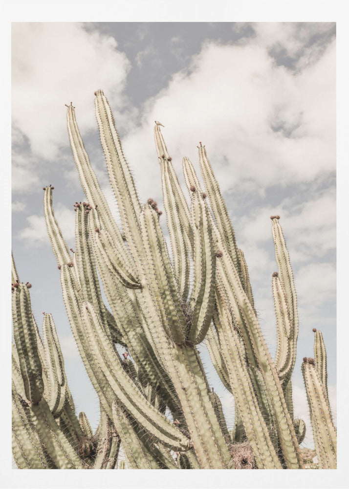 Wüstenkathedrale | Poster