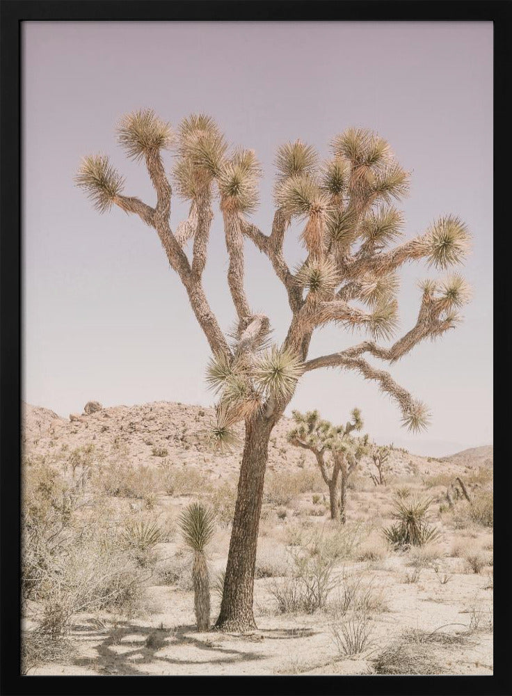 Joshua Tree | Poster