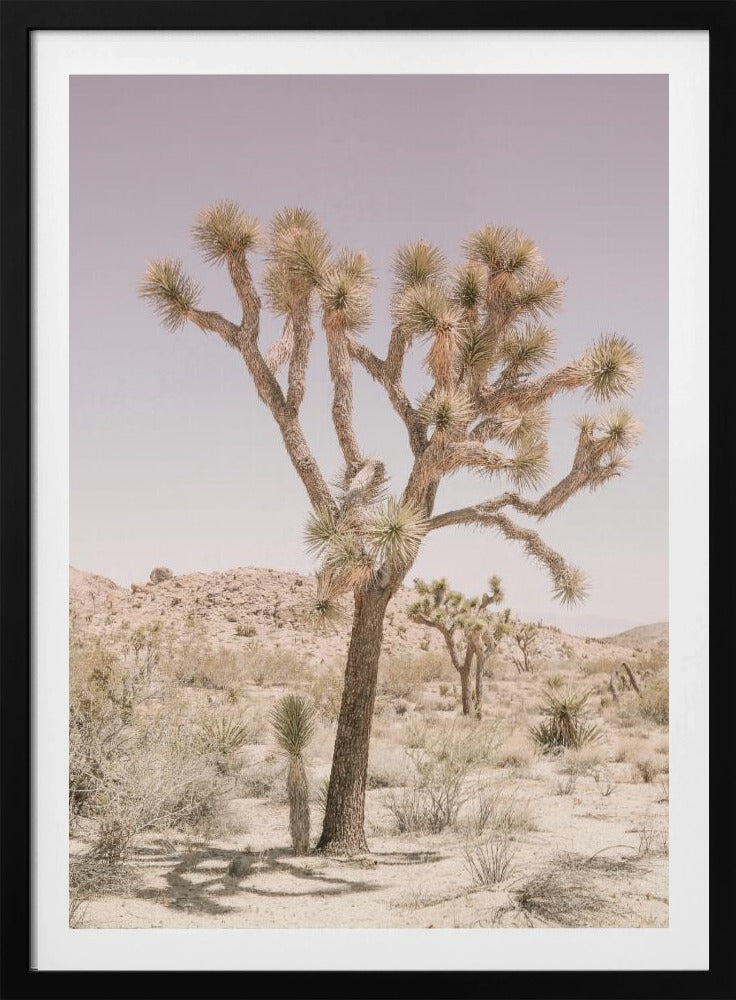 Joshua Tree | Poster