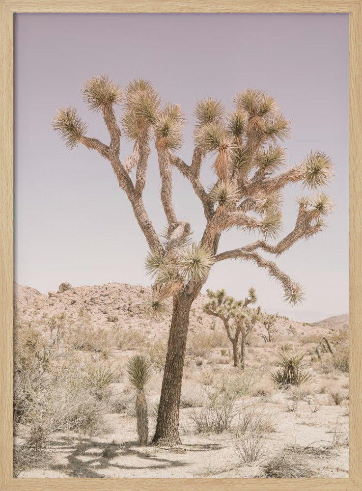 Joshua Tree | Poster
