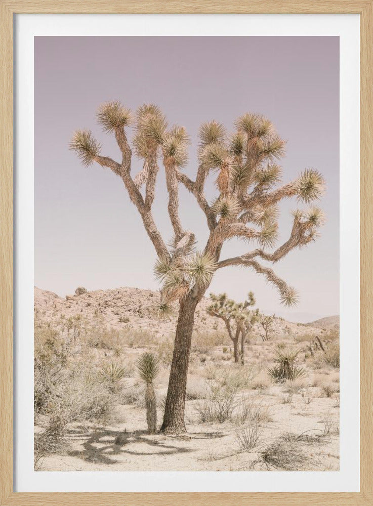 Joshua Tree | Poster