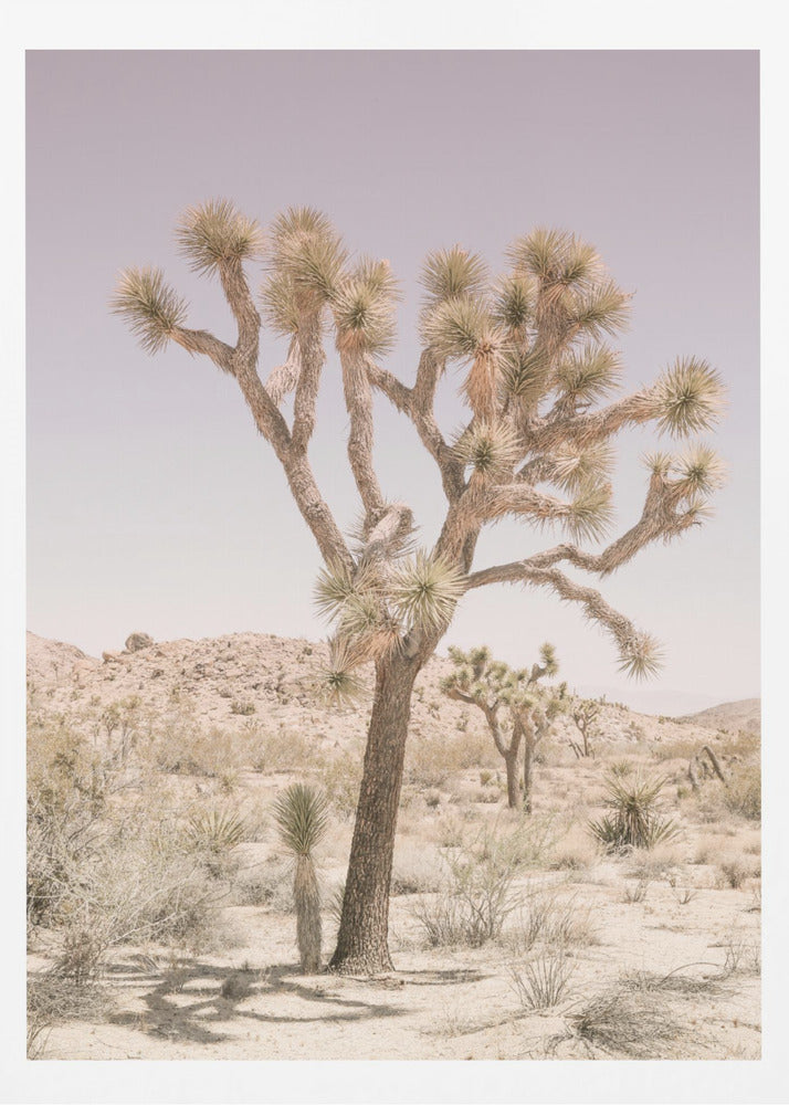 Joshua Tree | Poster