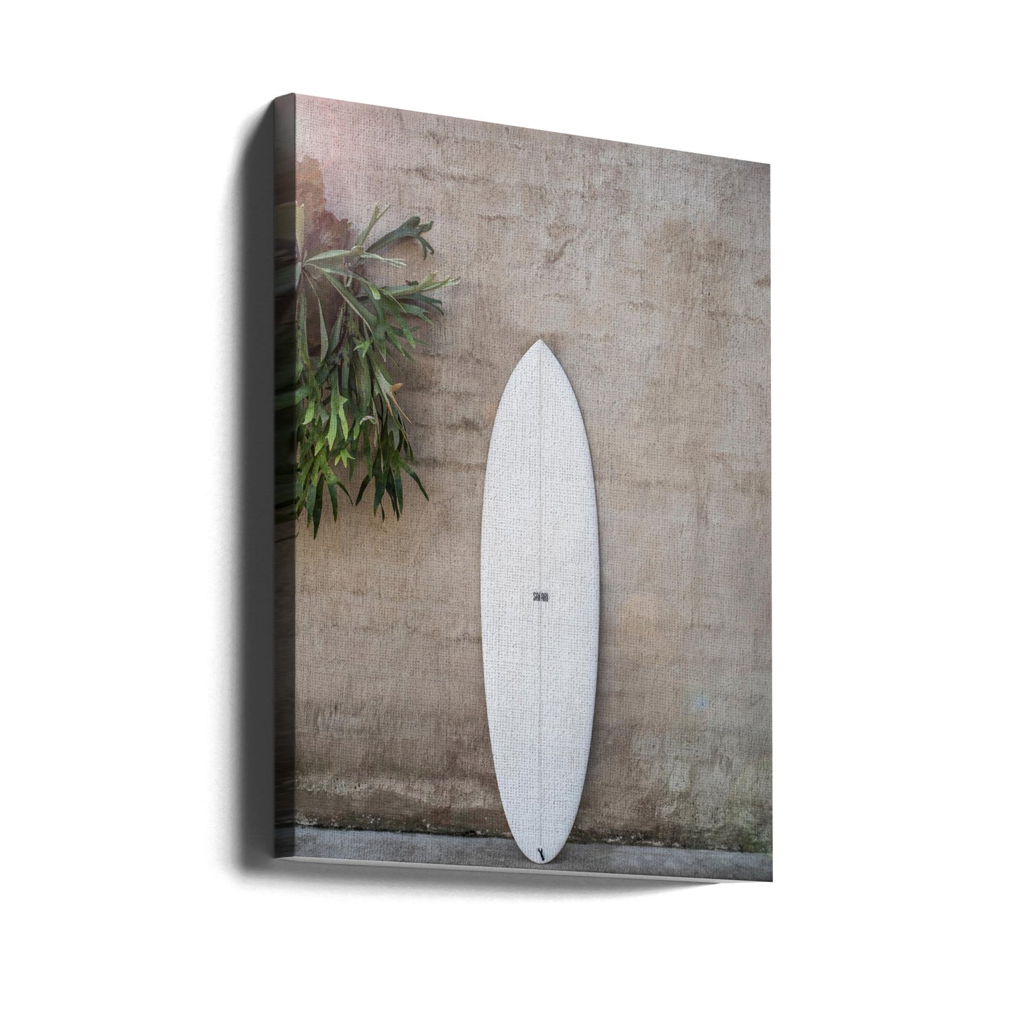 Safari Twinfin | Canvas