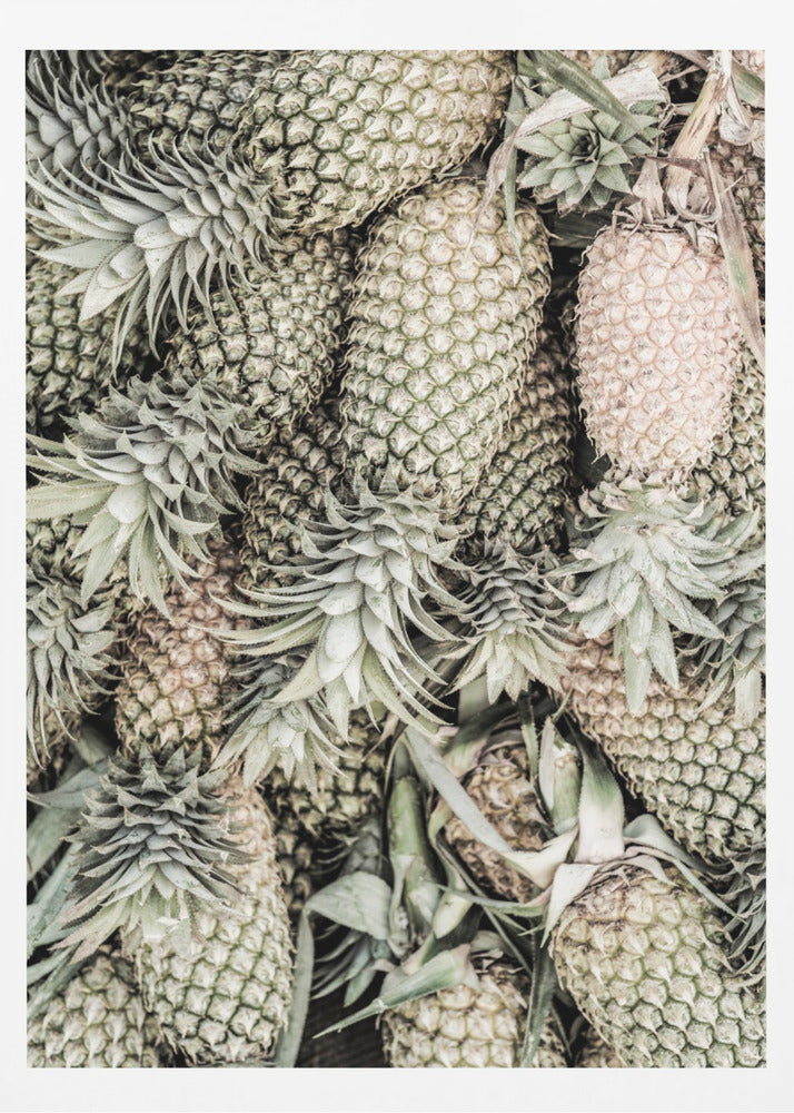 Gewürzte Kiefer | Poster - Kunstdruck