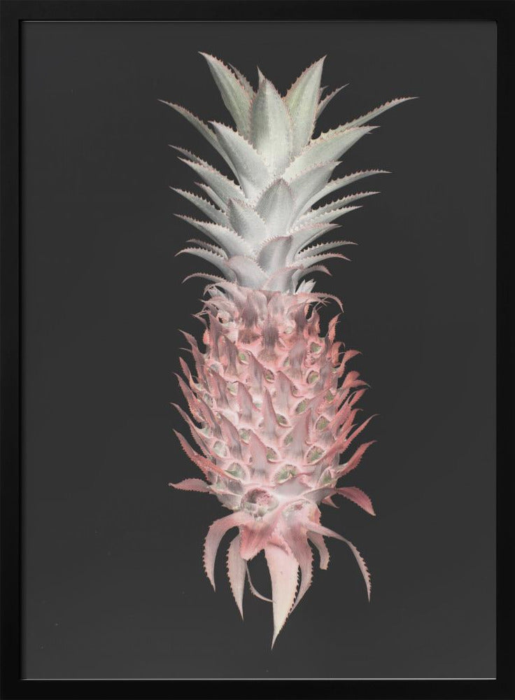 Strawberry Pine | Poster