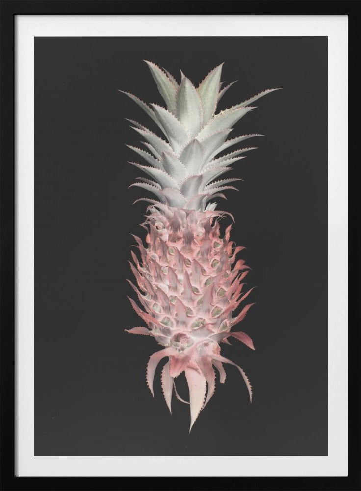 Strawberry Pine | Poster
