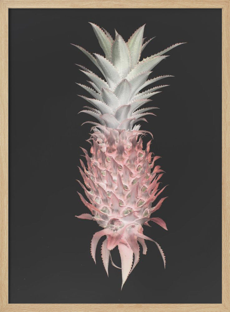 Strawberry Pine | Poster