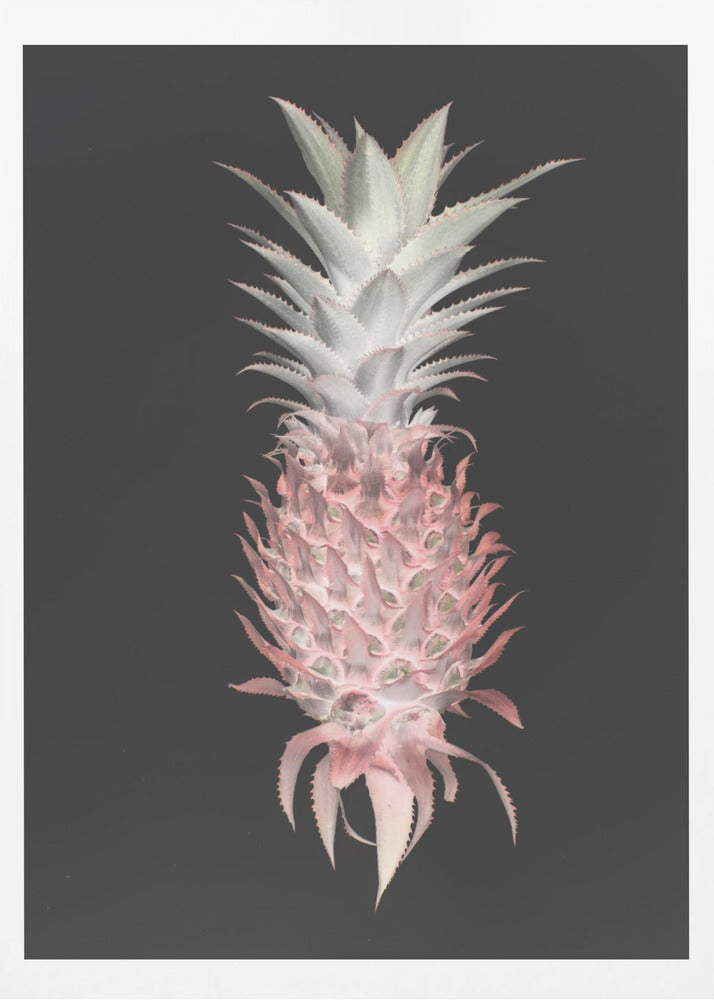 Strawberry Pine | Poster