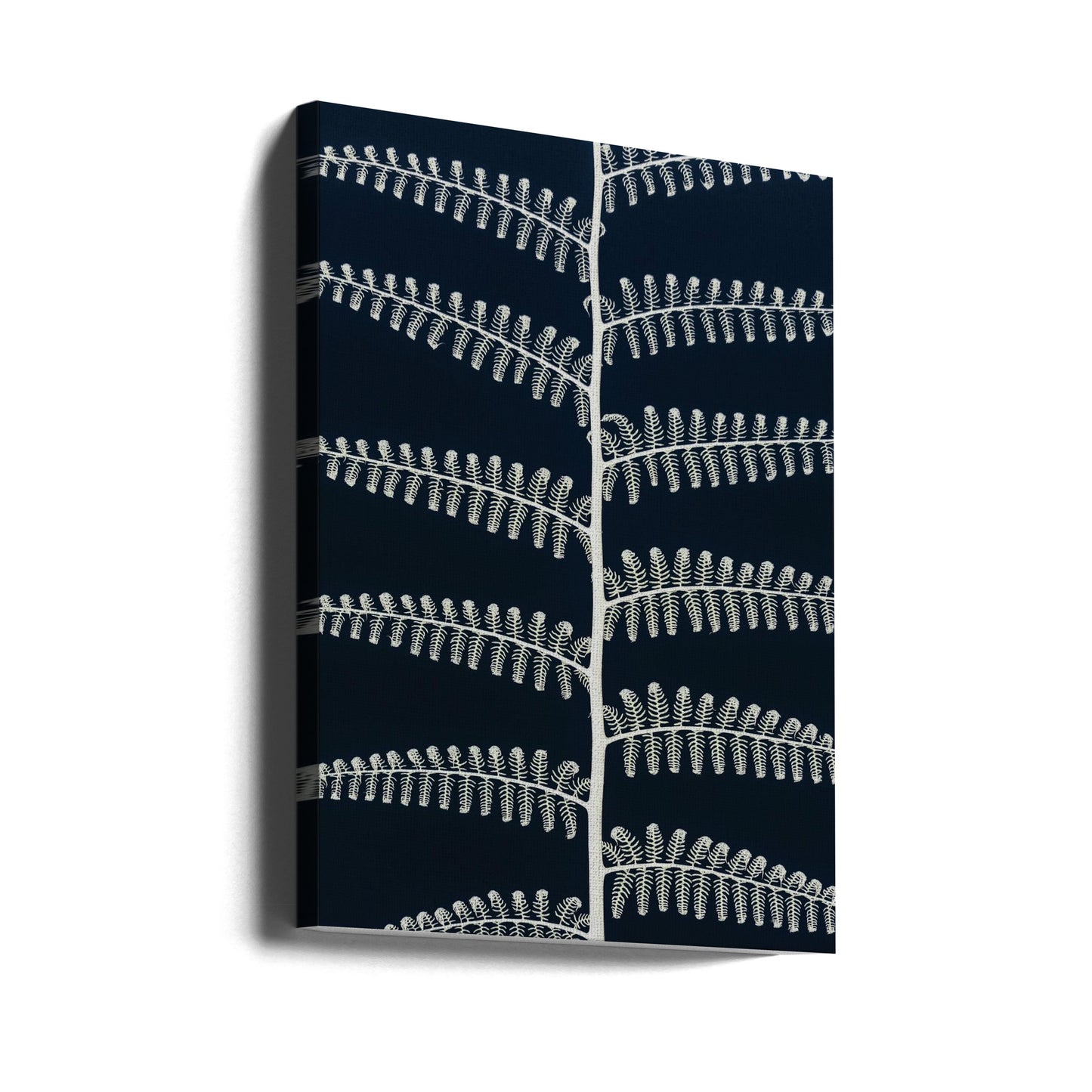 Symetry | Canvas