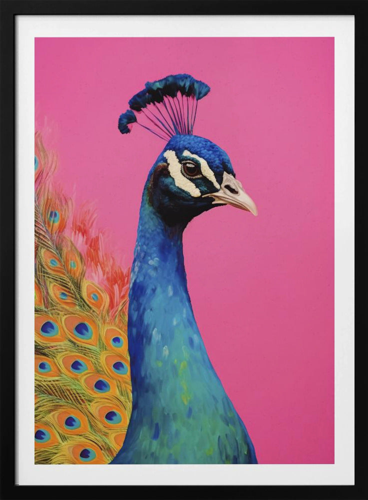 Wunderschöner Pfau | Poster