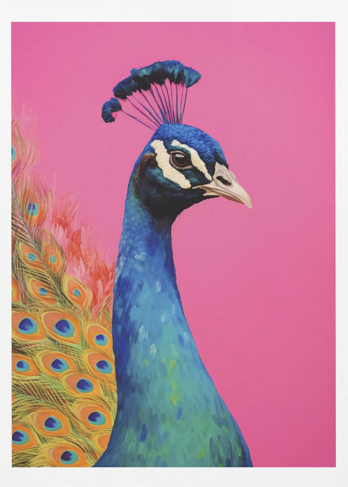 Wunderschöner Pfau | Poster