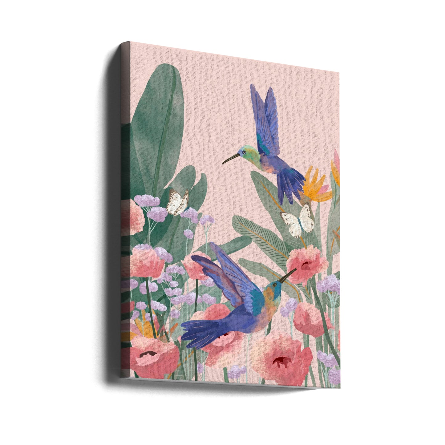 Kolibris | Leinwand-Bilder