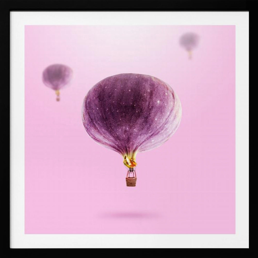 Viikunapallot | Julisteet - Taidevedokset