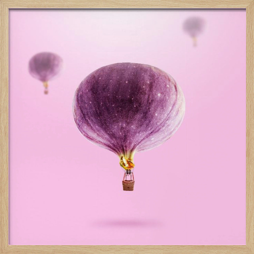 Viikunapallot | Julisteet - Taidevedokset